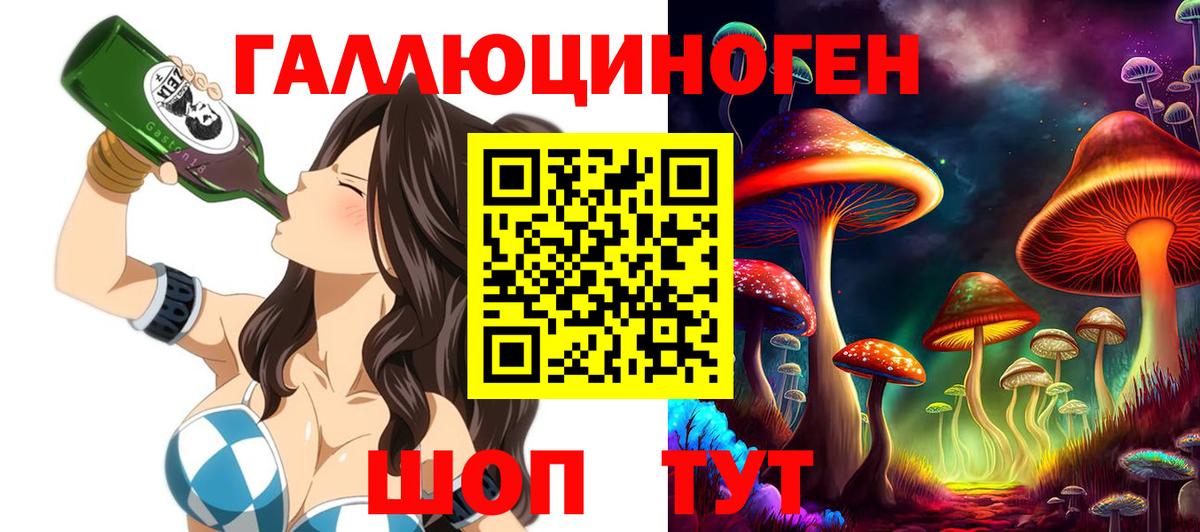 Псилоцибиновые грибы Psilocybine cubensis Владимир