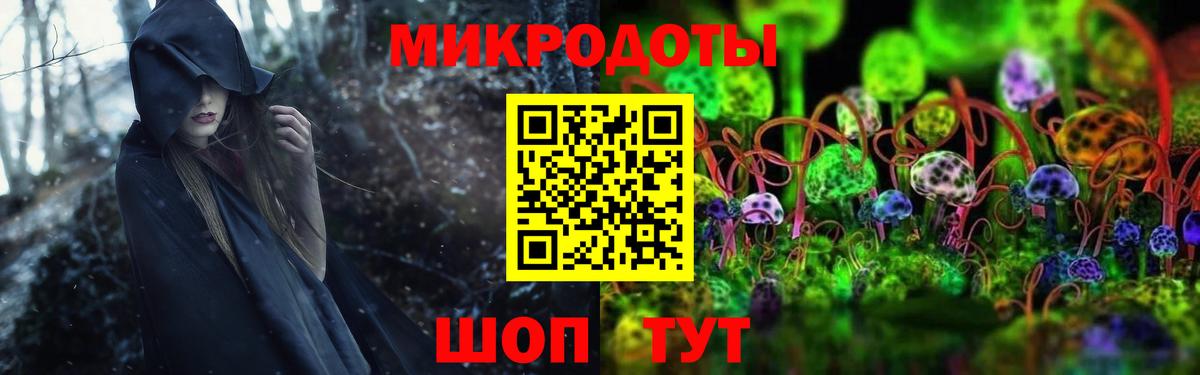 Галлюциногенные грибы Psilocybine cubensis  Вход с VPN  Галлюциногенные грибы Magic Shrooms  Владимир 